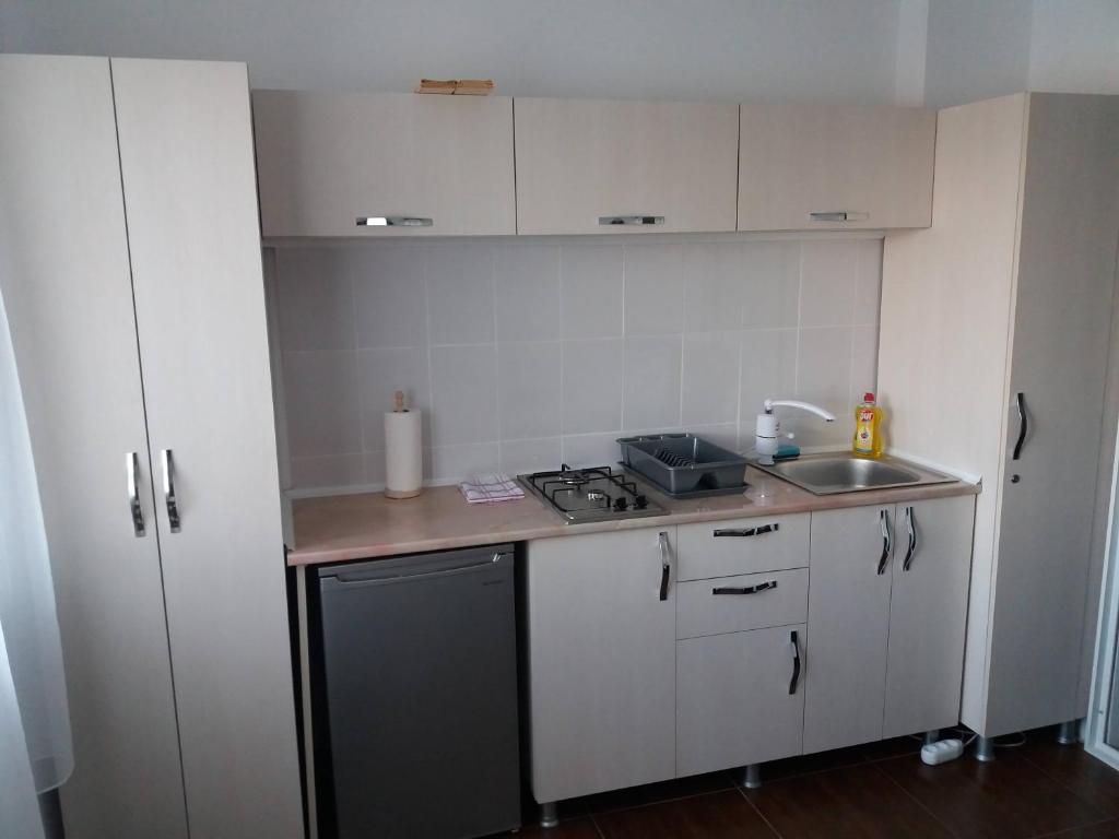 Kuchyň nebo kuchyňský kout v ubytování Apartament Belvedere Orsova