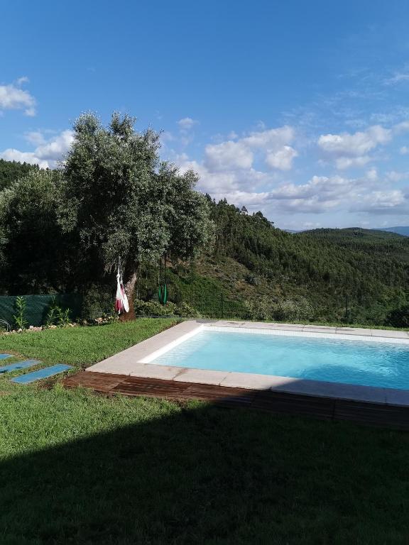 a swimming pool in the middle of a grass field at Casa Mendes Lopes in Celorico de Basto