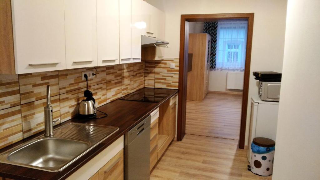 Kuchyň nebo kuchyňský kout v ubytování Apartmány Kukaččí hnízdo