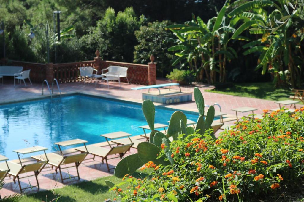 Bazén v ubytování Villa delle Palme nebo v jeho okolí