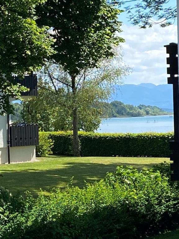 a park with a view of a lake and a tree at Ferienappartement Simhofer, Seebruck am Chiemsee in Seeon-Seebruck