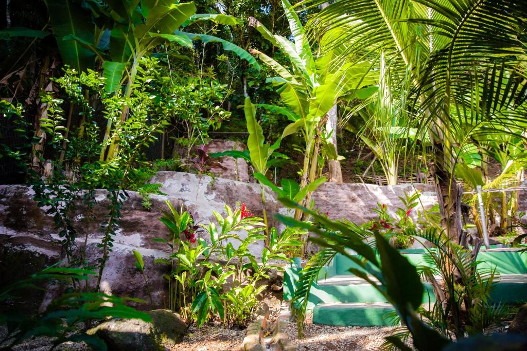  Bamboo Groove Hostel