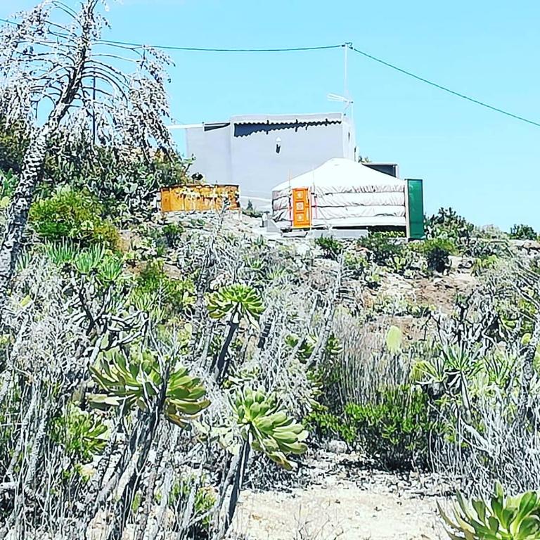 Fotografie z fotogalerie ubytování Yurta de Arico v destinaci Arico Viejo