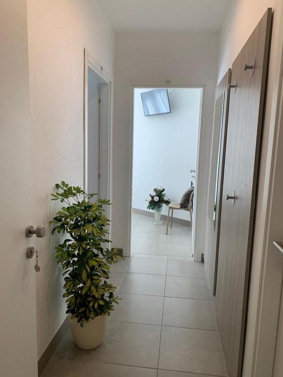 Fotografie z fotogalerie ubytování HOTEL LORENA v destinaci Toscolano Maderno