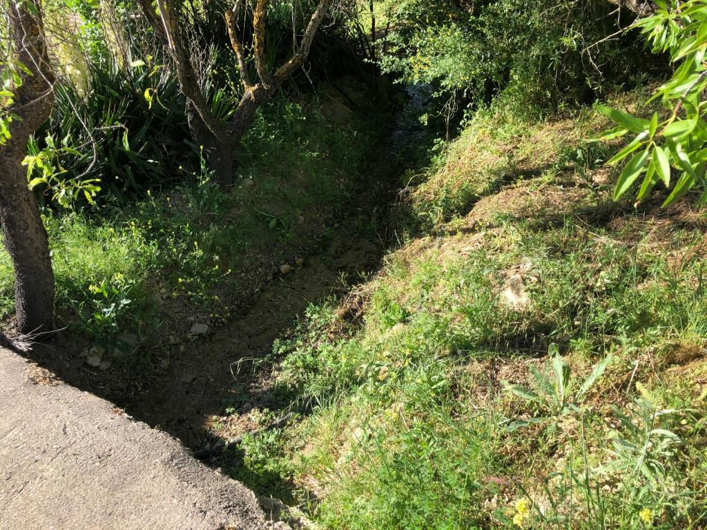 Zahrada ubytování Finca El Gavilán