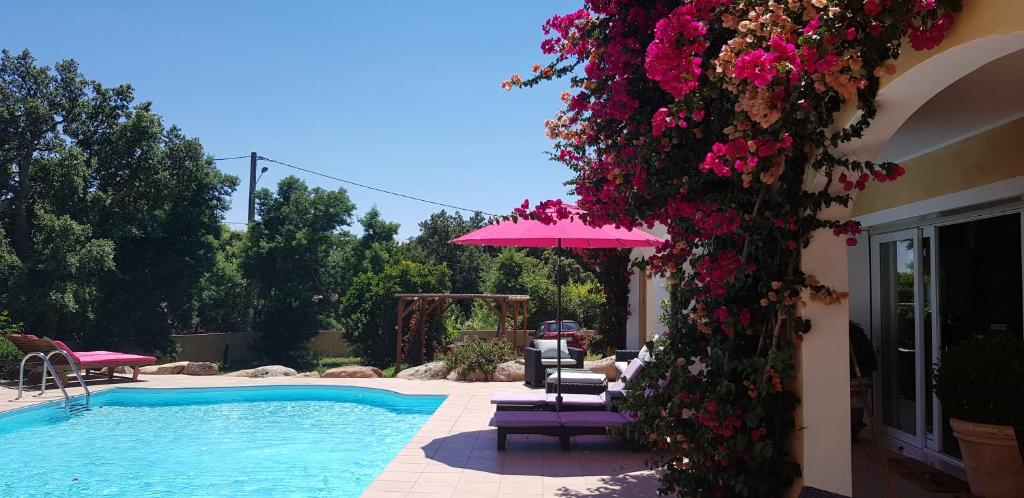 a swimming pool with a bunch of flowers next to a house at Cyrnea B&B - Adults only in Porto-Vecchio