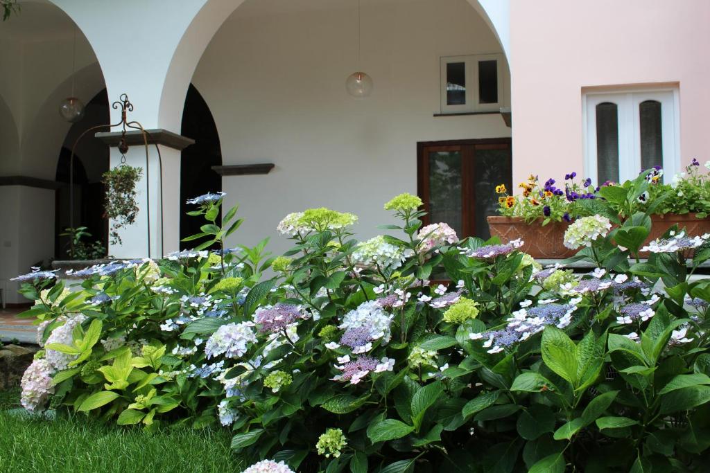 a garden of flowers in front of a house at Maison De Lucia in Meta