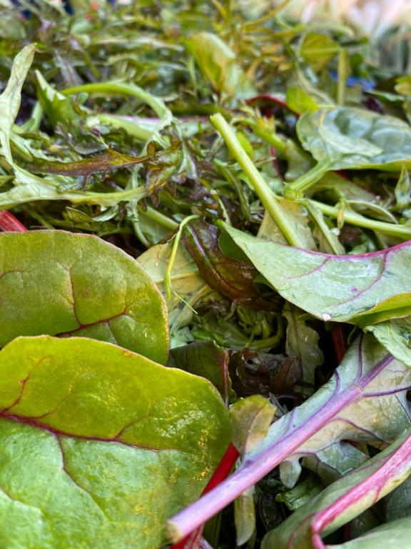 a pile of leafy greens in a bowl at Hotel-Gasthaus-Kraft in Schauenburg