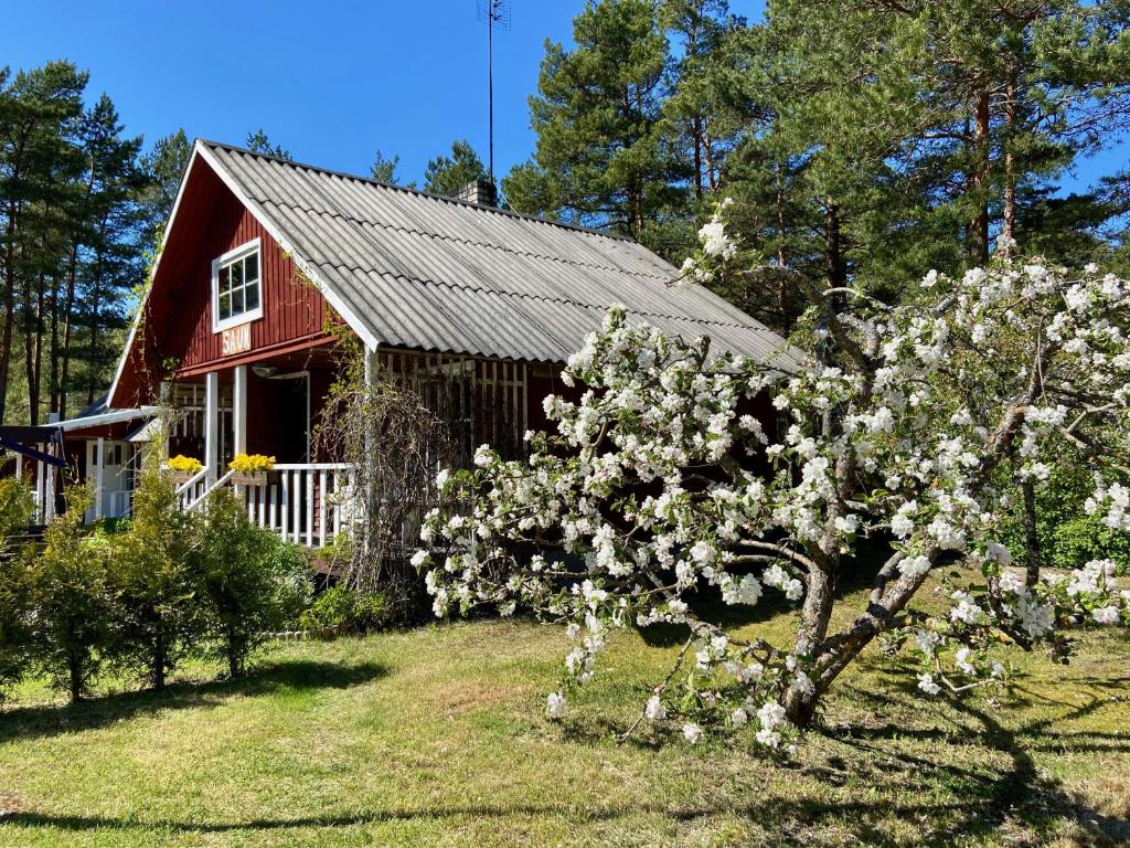 Zahrada ubytování Nõva Madise Guesthouse