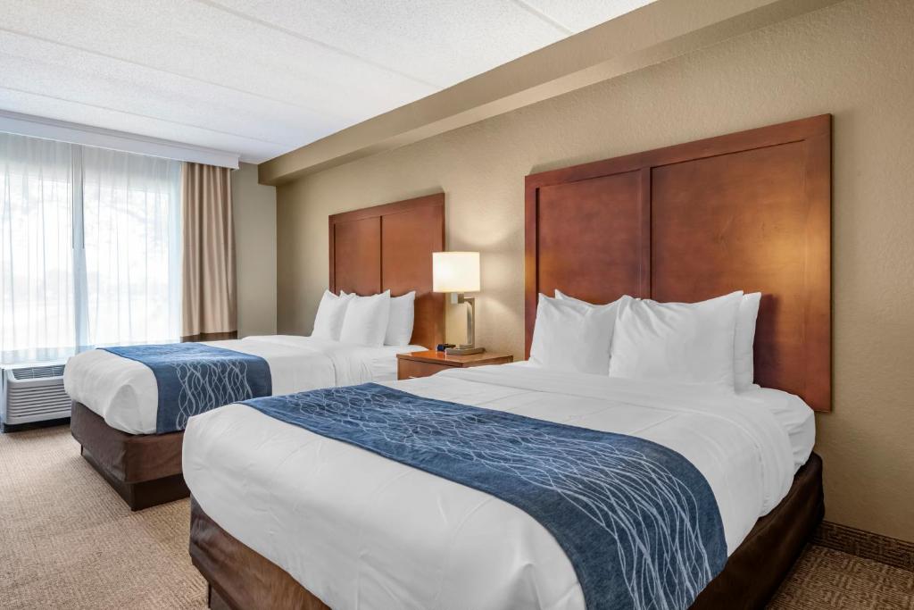 Comfort Inn & Suites Orlando North - 标准大号床间 - 带两张大号床 - 禁烟