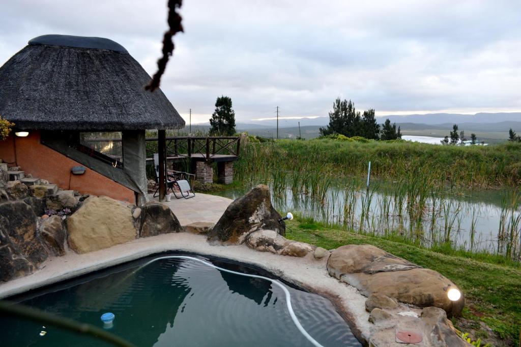 a pool of water in a yard with a building at Addo Dung Beetle Guest Farm in Addo