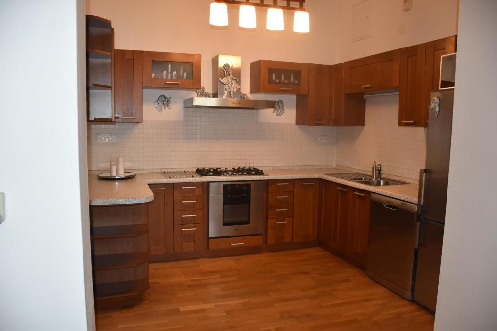 Kuchyň nebo kuchyňský kout v ubytování Lovecký Apartmán na náměstí ve Frenštátě pod Radhoštěm
