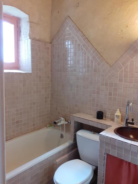 a bathroom with a tub and a toilet and a sink at Chateau de Chémery in Chémery