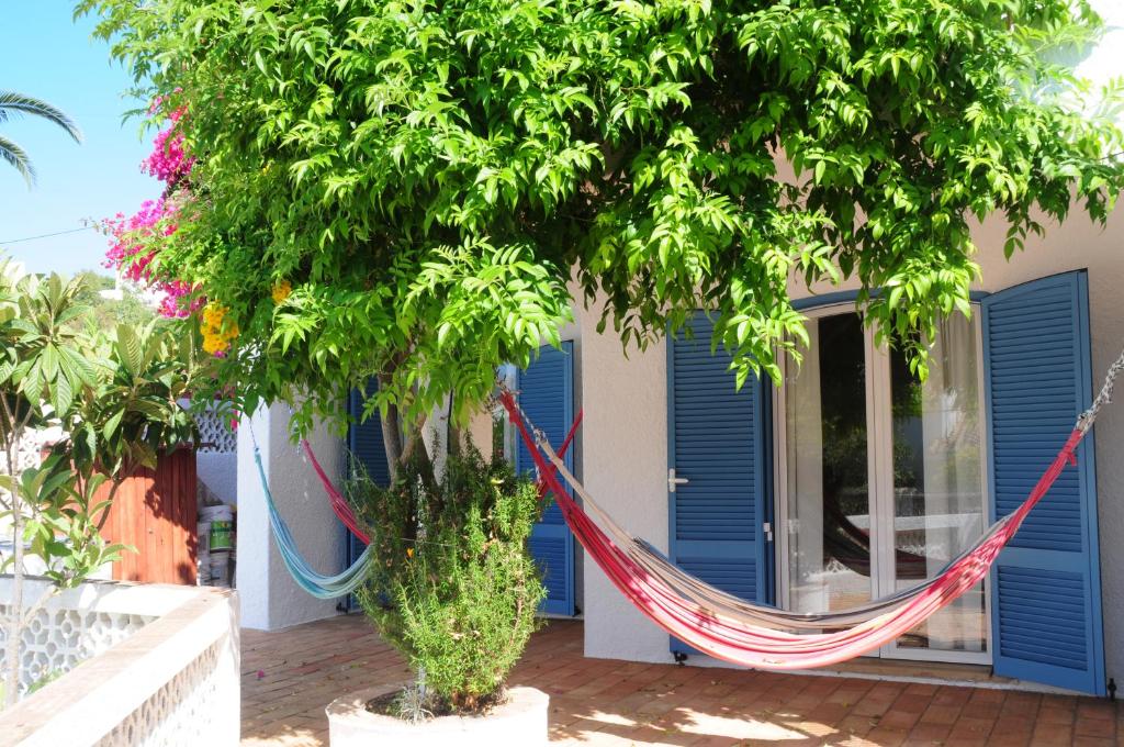 a hammock hanging from a tree in front of a house at Jho'La Surf Camp in Luz