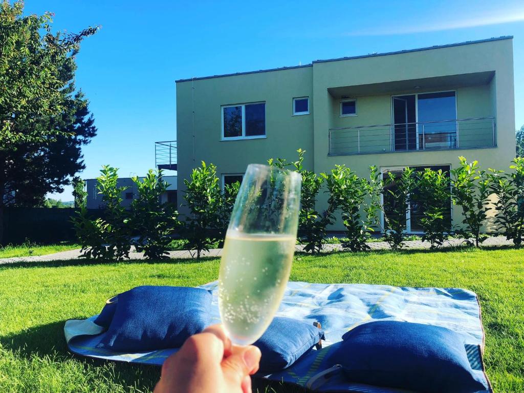 a person holding a glass of liquid in the grass at PÁLAVSKÉ DOMKY in Pasohlávky