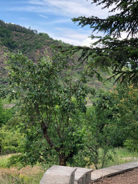 Ferienwohnung Zenzen - 1