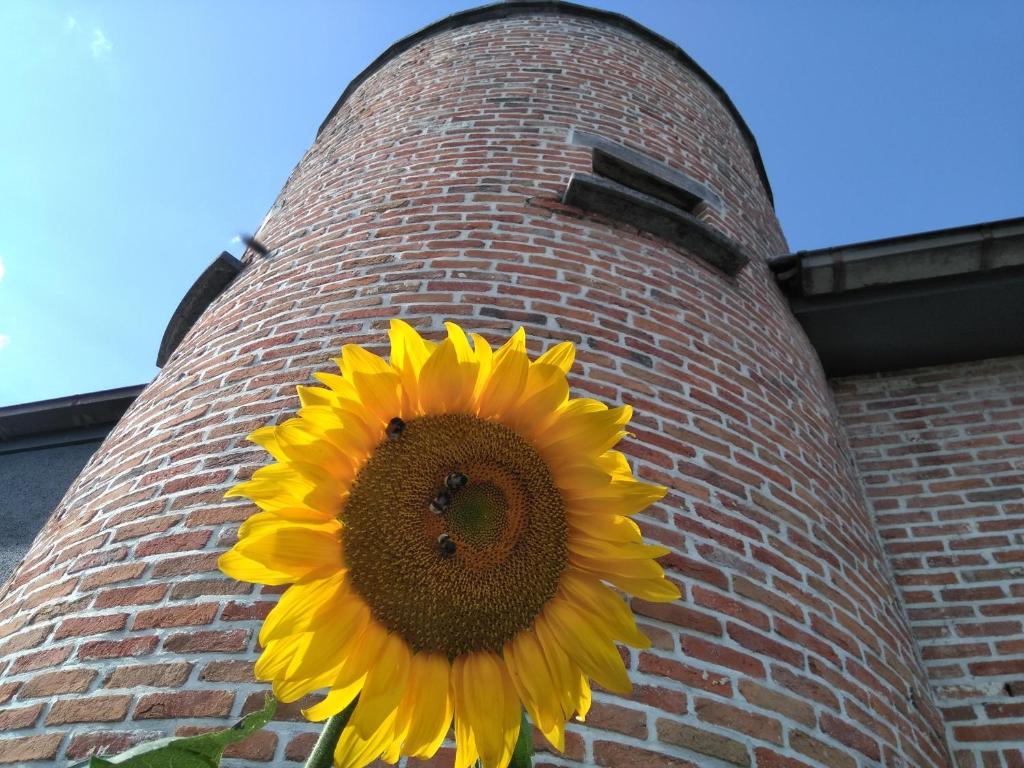 Foto dalla galleria di B&B Tlekkerbeddeke a Rumst