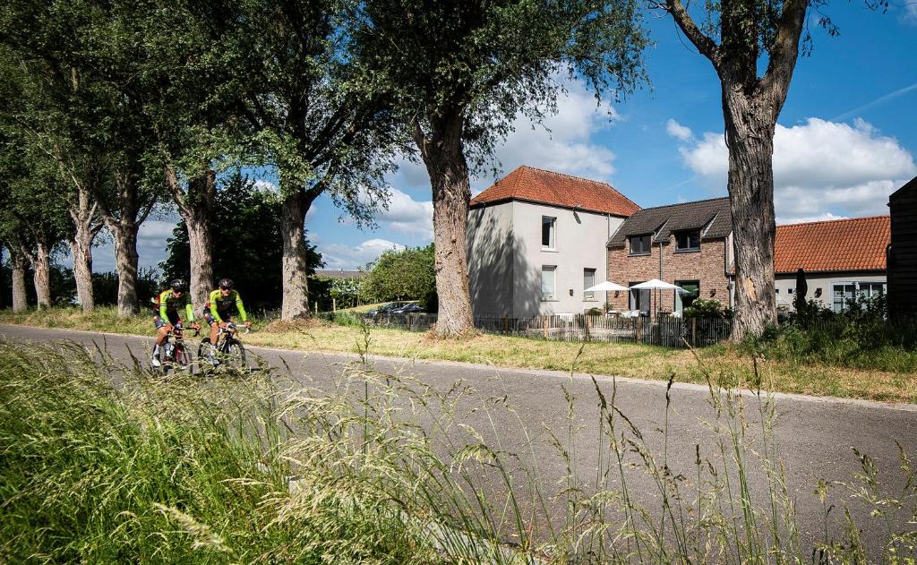 Jízda na kole v ubytování B&B Scheldekant nebo okolí