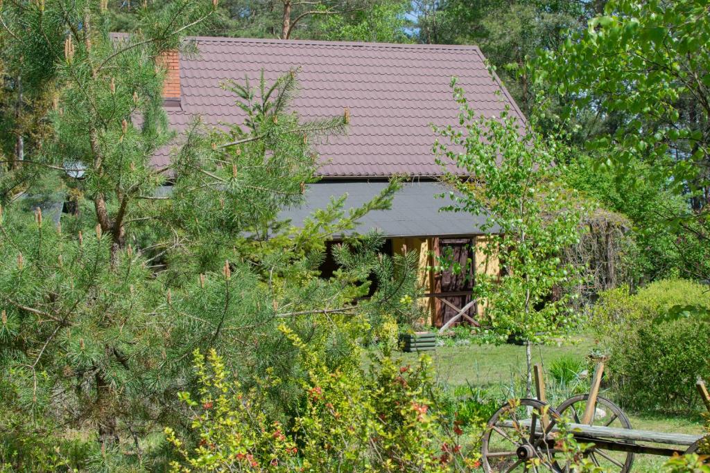 a house with a red roof in a garden at Gospodarstwo agroturystyczne nad jeziorem wśród lasów in Lipnica