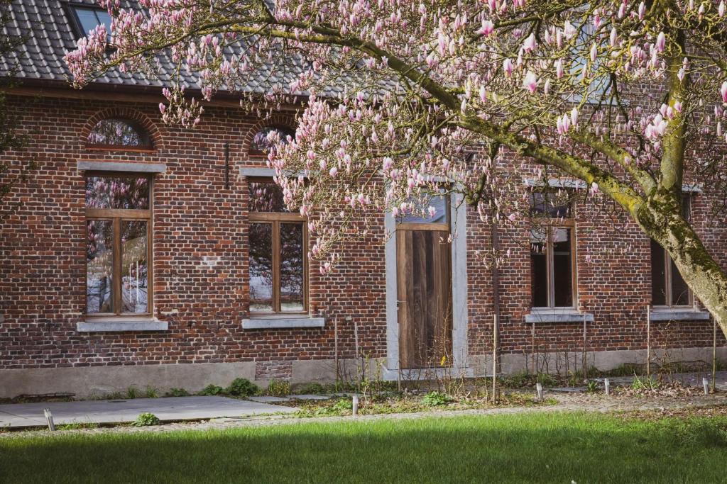 Zahrada ubytování Sint Jacobshoeve