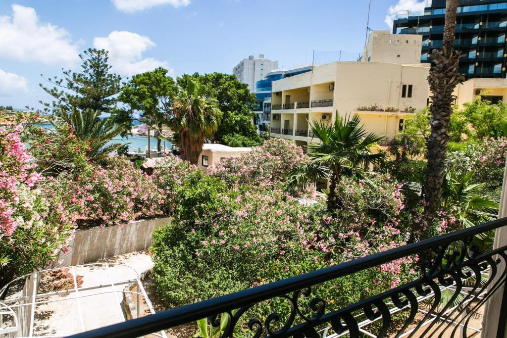 Zahrada ubytování Beach Garden Hotel