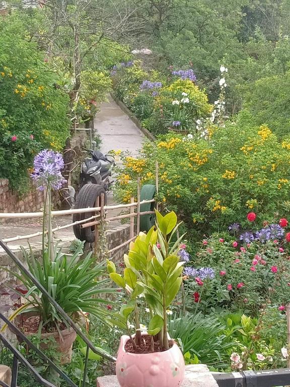 Sapa Tatu Homestay - 18