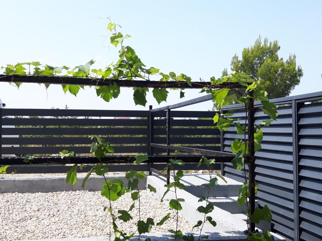 Fotografie z fotogalerie ubytování Apartmani Dalmacjia v destinaci Grebaštica