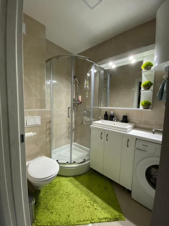 Vannituba majutusasutuses Apartman "Noa"