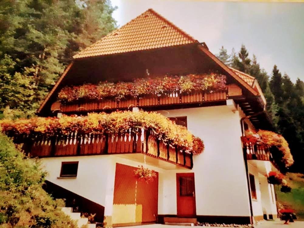 Una casa con plantas a un lado. en Ferienwohungen im Kuchersbach, en Hornberg