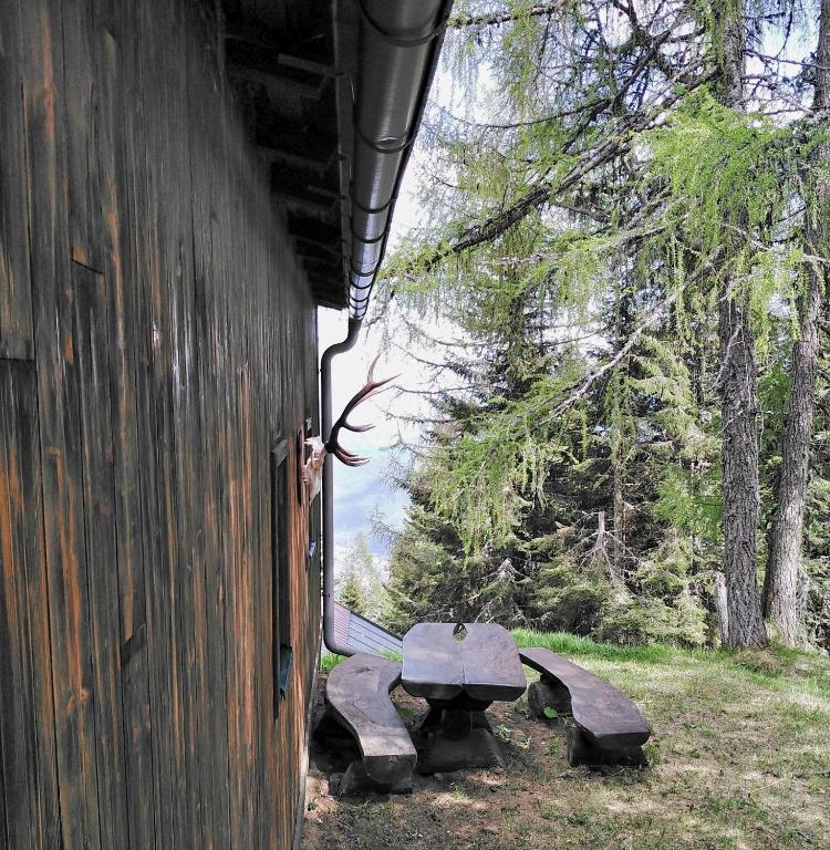 Příroda nedaleko chaty