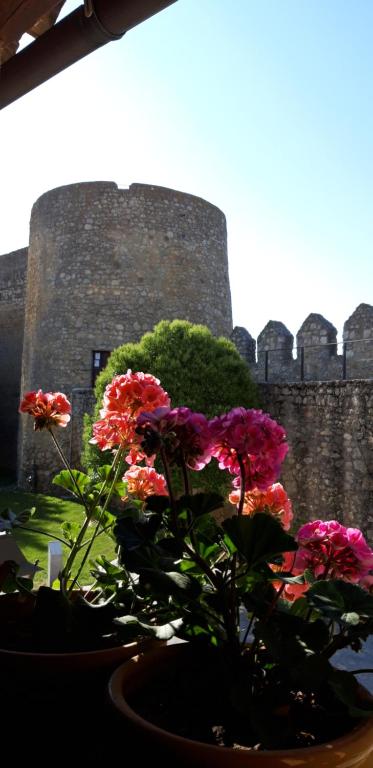 um vaso cheio de flores em frente a um castelo em Pozolico Hotel Rural em Urueña