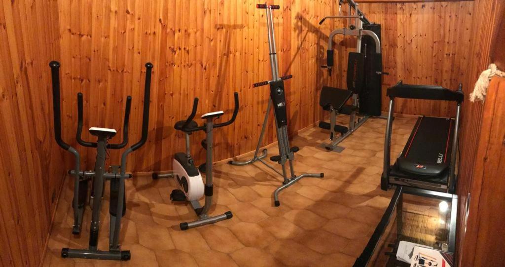 Fitness centrum a/nebo fitness zařízení v ubytování Sunshine-bnb