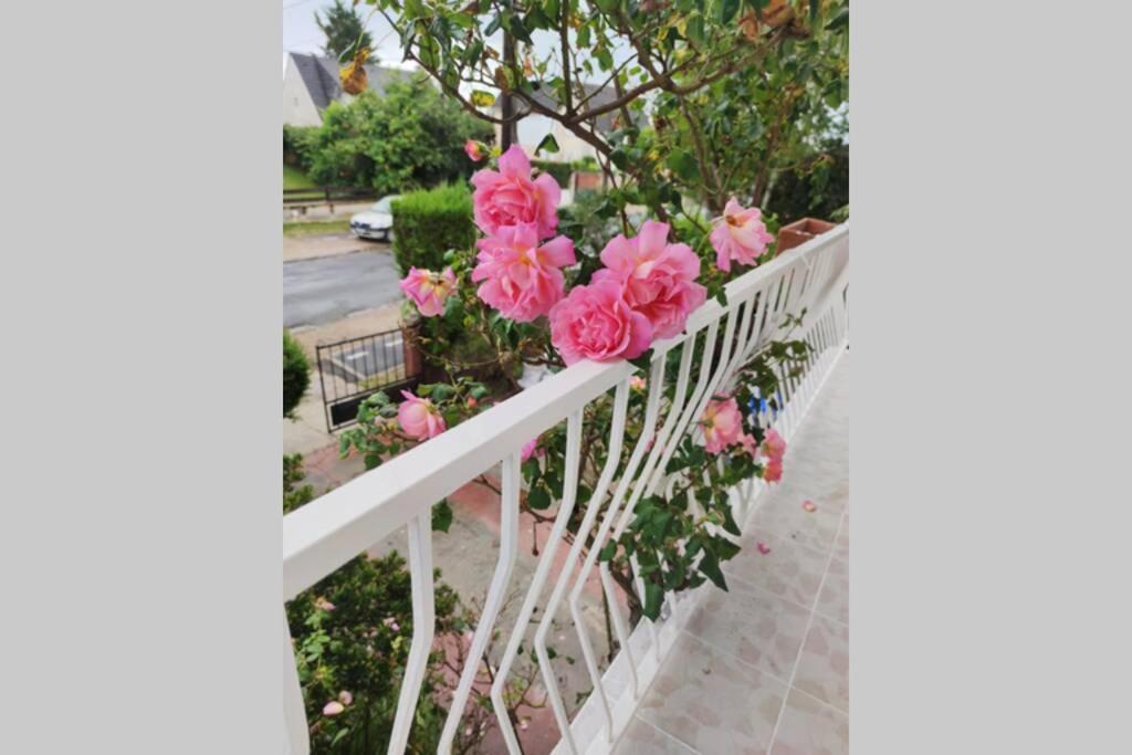 ein weißes Geländer mit rosa Blumen drauf in der Unterkunft Super Appart entre Paris et Dysney équipé(Ref: KA) in Montfermeil