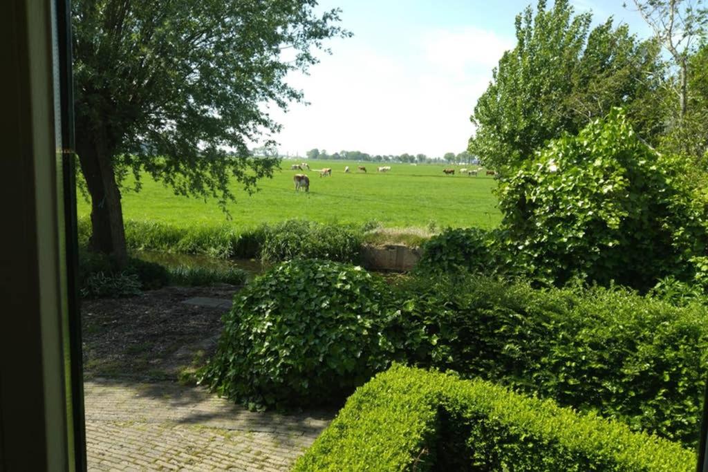 Accommodatie op boerderij Buitenlust - Apartment With Terrace