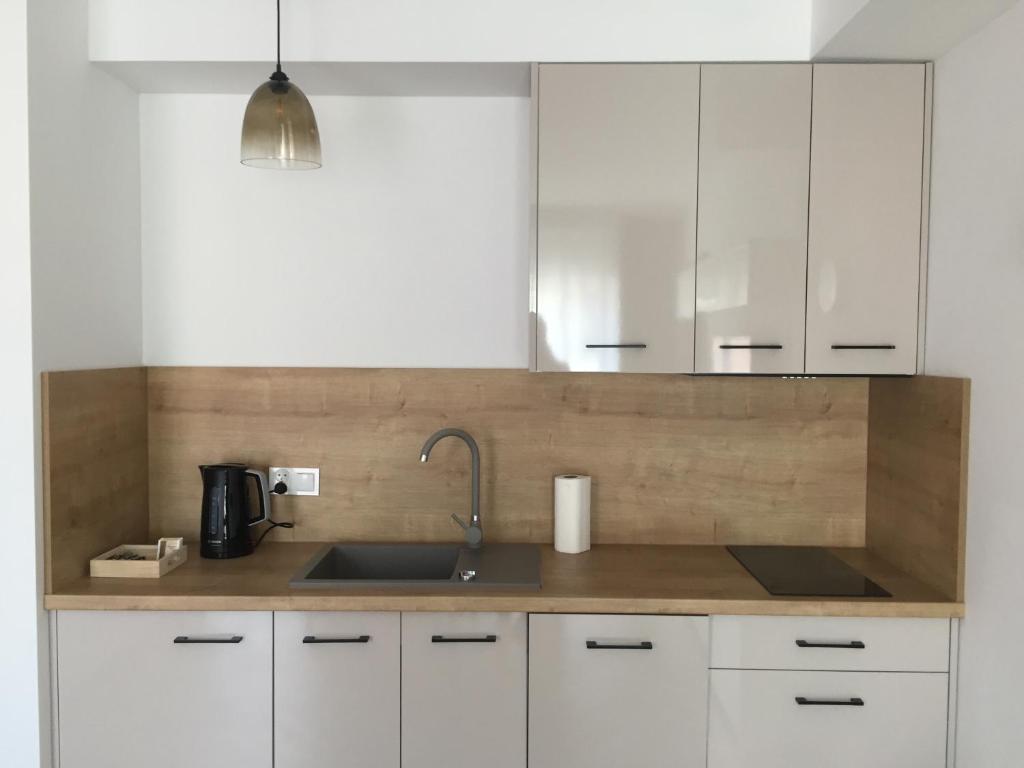 Kuchyňa alebo kuchynka v ubytovaní Apartamenty Julia APARTAMENTY OZONOWANE