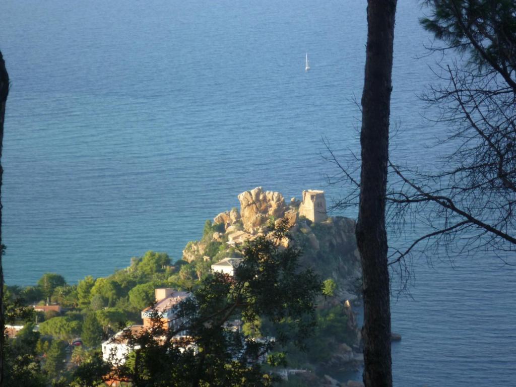 Alba Tra I Pini B&B - 19