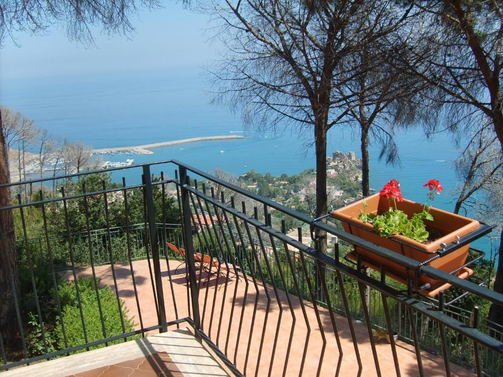 Alba Tra I Pini B&B - 1