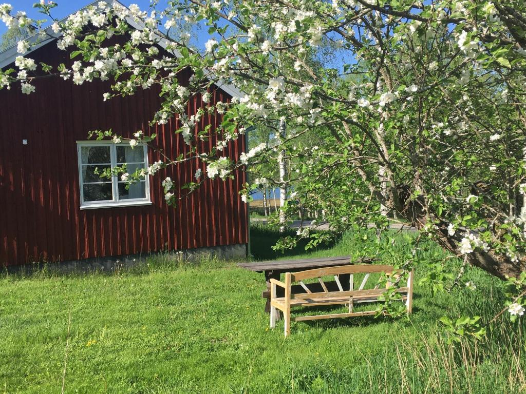 un banco de madera sentado en el césped junto a un edificio en Tättas stuga på Malingsbo Herrgård en Malingsbo