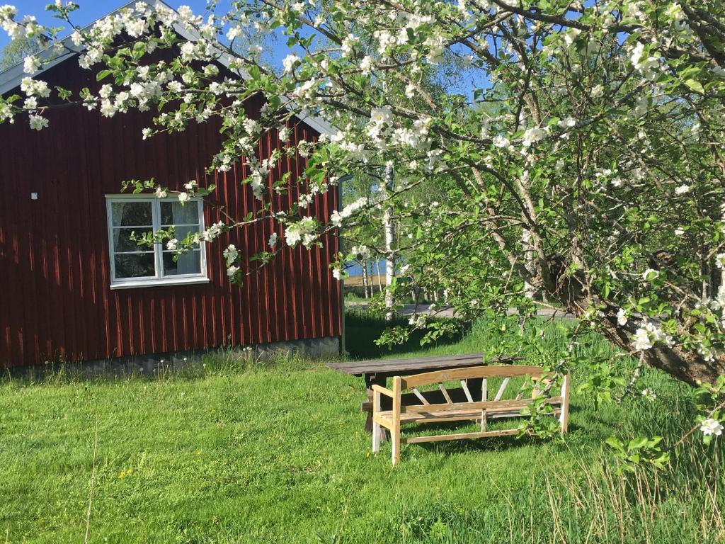 Tättas stuga på Malingsbo Herrgård - Housity