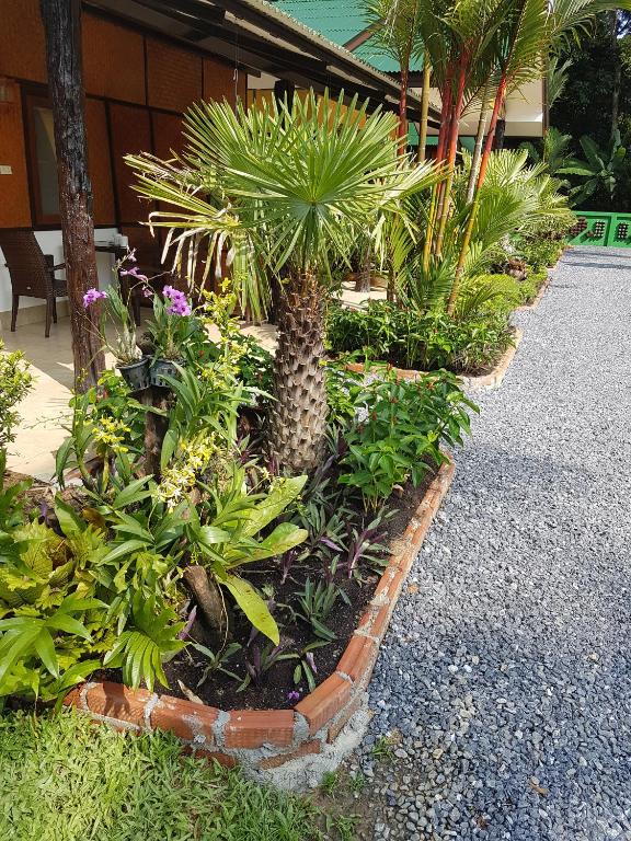 Zahrada ubytování Jungle Village Bungalow
