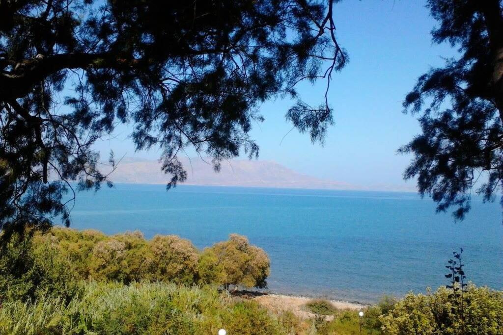 Príroda v okolí vily