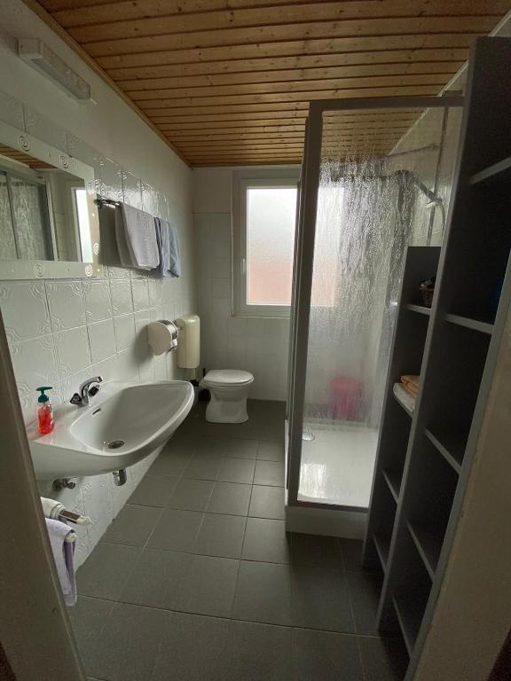 Koupelna v ubytování Gasthaus Zum Stadtwald