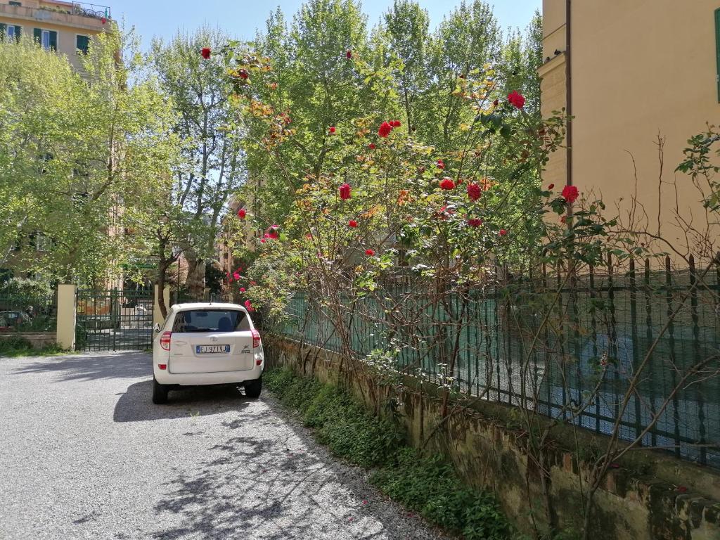 Il Giardino di Elettra - FreeParking - Resim 13