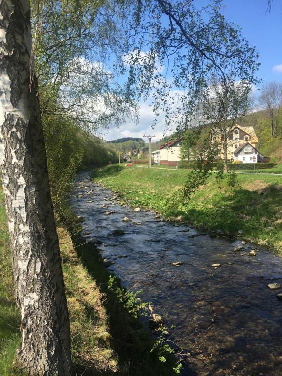 Příroda nedaleko apartmánu