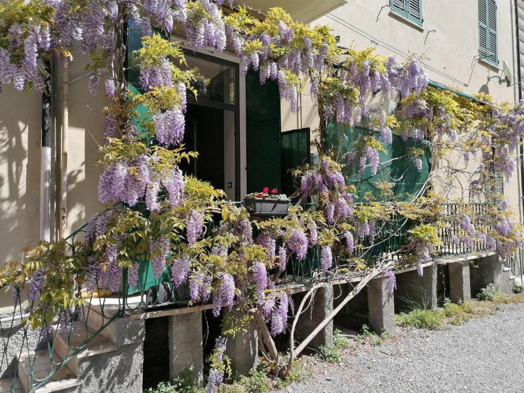 Il Giardino di Elettra - FreeParking - Resim 14