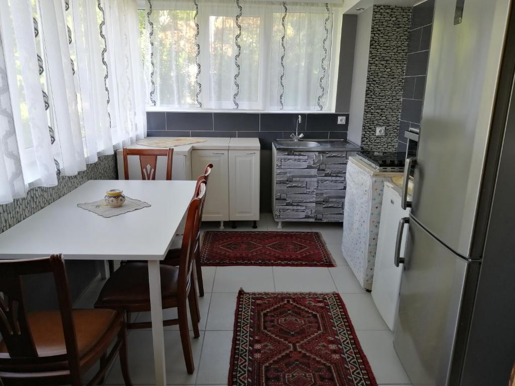 Kuchyň nebo kuchyňský kout v ubytování Apartman Đorđević