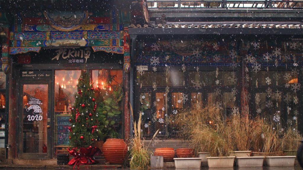 فضای داخلی Peking Garden Youth Hostel در پکن - تصویر ۳