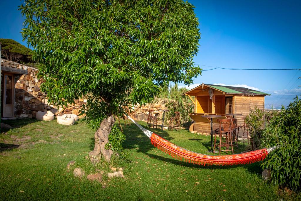 a hammock in a yard with a tree and a house at Wild House Tarifa in Tarifa