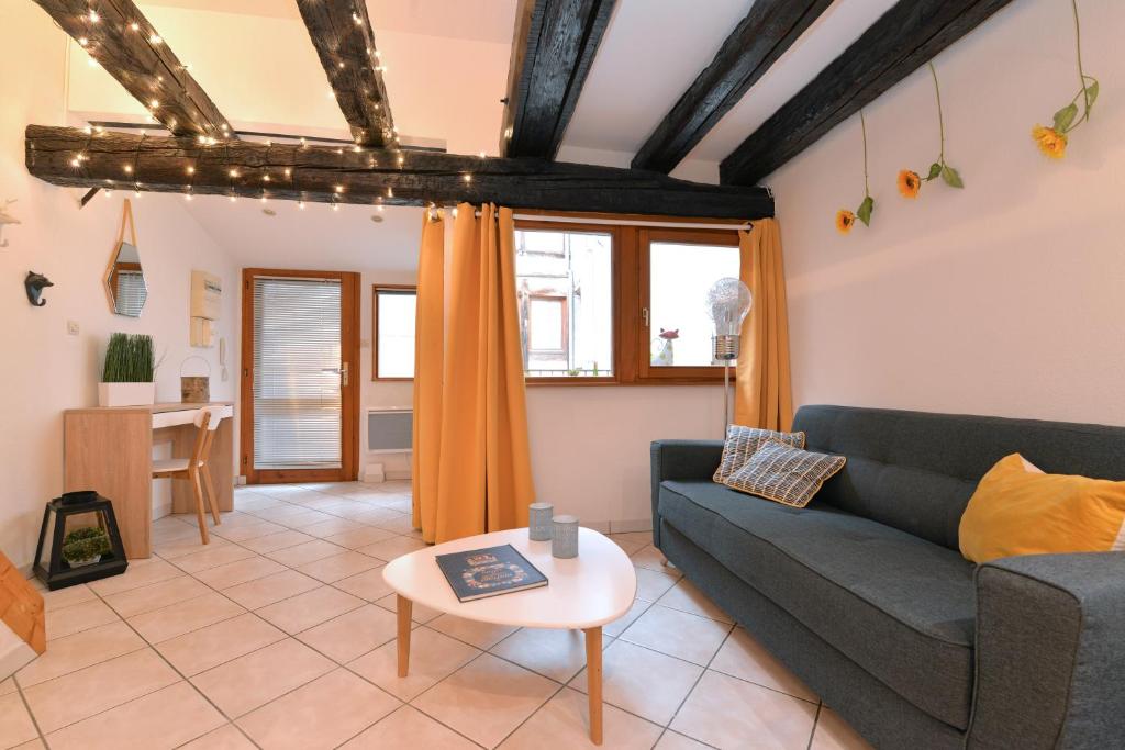 コルマールにあるAppartement La Terrasse sur courのソファとテーブルのあるリビングルーム