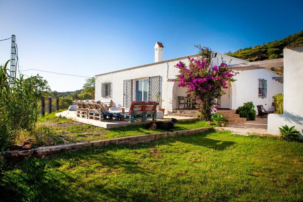 Photo de la galerie de l'établissement Wild House Tarifa, à Tarifa